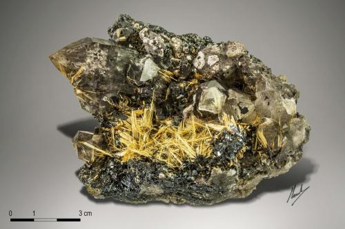 Rutile and Hematite on Quartz<br />Novo Horizonte, Bahia, Región Nordeste, Brasil<br />113 x 92 mm<br /> (Author: Manuel Mesa)