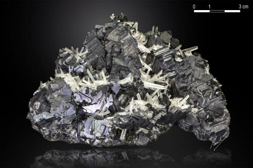 Galena and Quartz<br />Krushev dol Mine, Madan mining area, Rhodope Mountains, Smolyan Oblast, Bulgaria<br />128 x 77 mm<br /> (Author: Manuel Mesa)