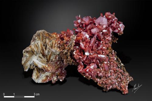 Vanadinite on Barite<br />Mibladen (distrito minero Mibladen), Midelt, Provincia Midelt, Región Drâa-Tafilalet, Marruecos<br />114 x 72 mm<br /> (Author: Manuel Mesa)