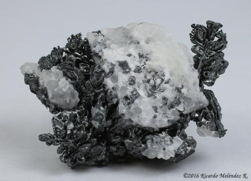 Acantita, Calcita<br />Proaño Mine, Fresnillo de González Echeverría (Fresnillo), Municipio Fresnillo, Zacatecas, Mexico<br />4.7 x 3.5 x 2 centimetros<br /> (Autor: Ricardo Melendez)