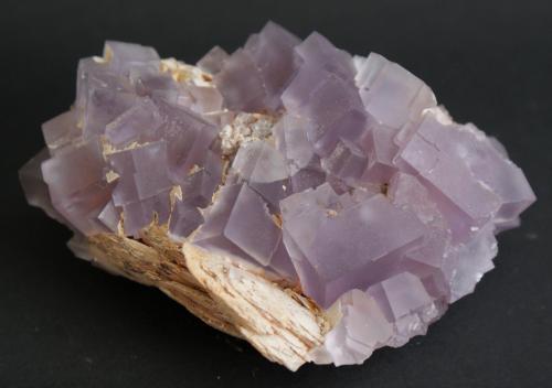 Fluorite and Baryte<br />Berbes mining area, Berbes, Ribadesella, Comarca Oriente, Principality of Asturias (Asturias), Spain<br />90mm x 60mm x 30mm<br /> (Author: Philippe Durand)