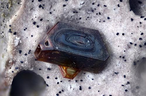 Chayesita<br />Volcán de Cancarix, Sierra de las Cabras, Cancarix, Hellín, Comarca Campos de Hellín, Albacete, Castilla-La Mancha, España<br />Campo de visión 2,3 mm<br /> (Autor: Juan Miguel)