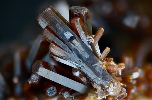 Vanadinita<br />Santa Lucía Mine, Rambla Seca, La Peza, Comarca Guadix, Granada, Andalusia, Spain<br />Campo de visión 5 mm<br /> (Autor: Juan Miguel)