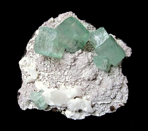 Fluorapophyllite-(K)<br />Jalgaon District, Maharashtra, India<br />Specimen size 8,5 cm, largest crystal 2 cm<br /> (Author: Tobi)