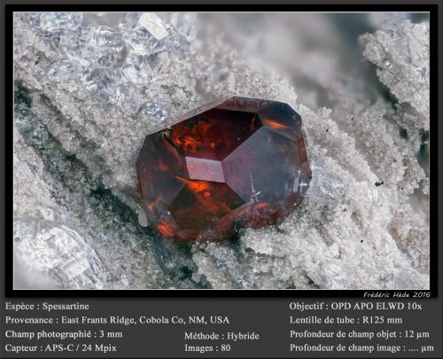 Spessartine (Garnet Group)<br />East Grants Ridge, Cibola County, New Mexico, USA<br />fov 3 mm<br /> (Author: ploum)