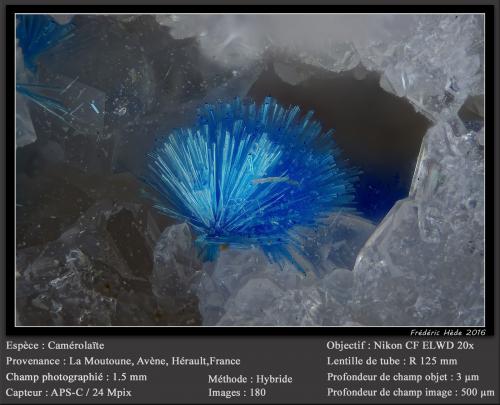 Camérolaïte<br />La Moutoune Pass, Avène, Lunas Canton, Lodève District, Hérault, Occitanie, France<br />fov 1.5 mm<br /> (Author: ploum)