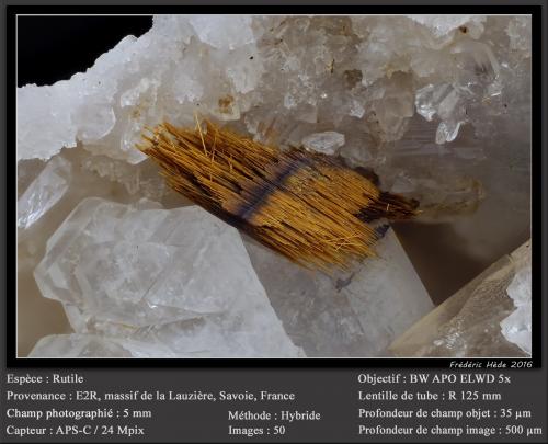 Rutile<br />Entre-deux-Roches, La Lauzière Massif, Saint-Jean-de-Maurienne, Savoie, Auvergne-Rhône-Alpes, France<br />fov 5 mm<br /> (Author: ploum)