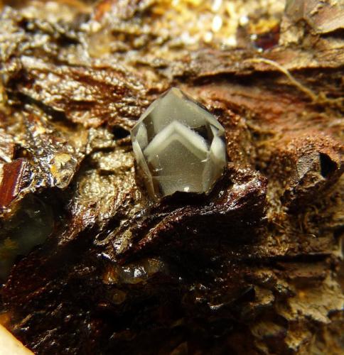Quartz on Goethite<br />Ceres, Warmbokkeveld Valley, Ceres, Valle Warmbokkeveld, Witzenberg, Cape Winelands, Western Cape Province, South Africa<br />Crystal  12 x 07 mm<br /> (Author: Pierre Joubert)