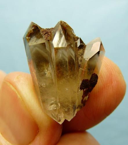 Quartz<br />Ceres, Warmbokkeveld Valley, Ceres, Valle Warmbokkeveld, Witzenberg, Cape Winelands, Provincia Occidental del Cabo, Sudáfrica<br />24 x 14 mm<br /> (Author: Pierre Joubert)