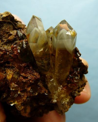 Quartz on Goethite<br />Ceres, Warmbokkeveld Valley, Ceres, Valle Warmbokkeveld, Witzenberg, Cape Winelands, Western Cape Province, South Africa<br />Longest crystal 30 mm<br /> (Author: Pierre Joubert)