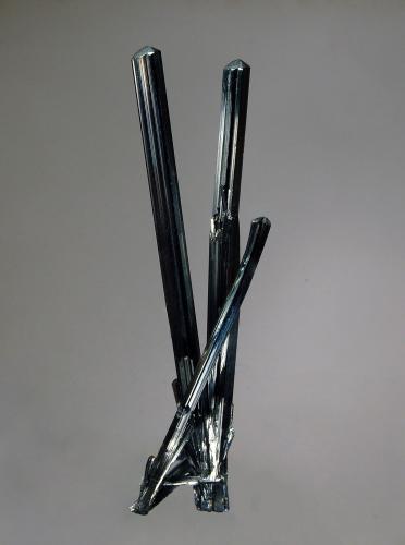 Stibnite<br />Mina Wuning, Qingjiang, Wuning, Prefectura Jiujiang, Provincia Jiangxi, China<br />2.7 x 11.9 cm<br /> (Author: crosstimber)