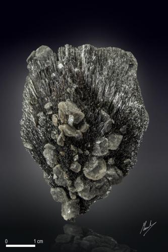 Berthierite and Calcite<br />Herja Mine, Chiuzbaia, Baia Sprie, Maramures, Romania<br />58 x 44 mm<br /> (Author: Manuel Mesa)