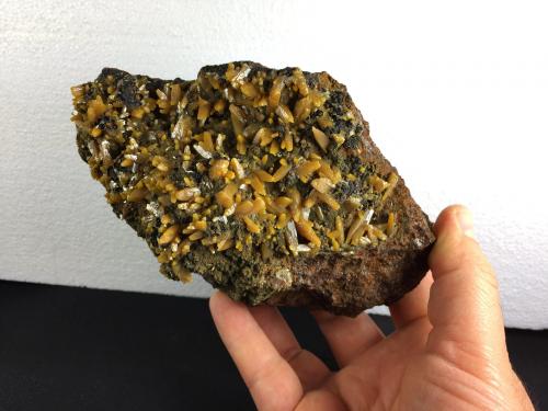 Wulfenita, Mimetita, Goethita<br />Ojuela Mine, Mapimí, Municipio Mapimí, Durango, Mexico<br />16.4 x 11 x 6.5 centimetros<br /> (Autor: Ricardo Melendez)