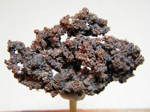 Copper<br />Tsumeb Mine, Tsumeb, Otjikoto Region, Namibia<br />48mm x 31mm<br /> (Author: Heimo Hellwig)