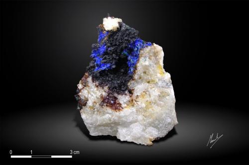 Linarite<br />Dos Adriana Mine, Zapallar District, Copiapó Province, Atacama Region, Chile<br />61 x 42 mm<br /> (Author: Manuel Mesa)