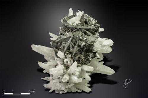 Tetrahedrite and Quartz<br />Pasto Bueno, Distrito Pampas, Provincia Pallasca, Departamento Ancash, Perú<br />107 x 80 mm<br /> (Author: Manuel Mesa)