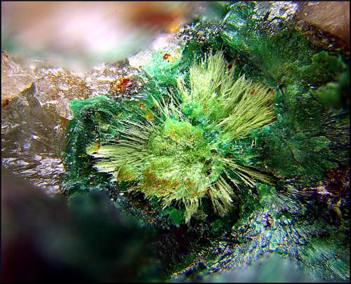 Agardita-(Y) sobre Malaquita<br />San Guillermo Mine, El Guijo, Comarca Los Pedroches, Córdoba, Andalusia, Spain<br />Campo de visión de 3 mm.<br /> (Autor: Antonio Carmona)