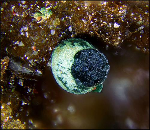 Cornwallita sobre Conicalcita<br />Mina San Guillermo, El Guijo, Comarca Los Pedroches, Córdoba, Andalucía, España<br />Campo de visión de 3 mm.<br /> (Autor: Antonio Carmona)