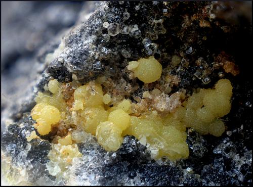 Mimetita-Piromorfita y Willemita.<br />Grupo Minero La Chinche, Cerro de la Chinche, Villanueva de Córdoba, Comarca Los Pedroches, Córdoba, Andalucía, España<br />Campo de visión de 10 mm<br /> (Autor: Antonio Carmona)