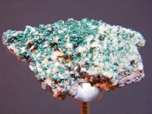 Malachite and Mimetite<br />Tsumeb Mine, Tsumeb, Otjikoto Region, Namibia<br />43mm x 24mm<br /> (Author: Heimo Hellwig)