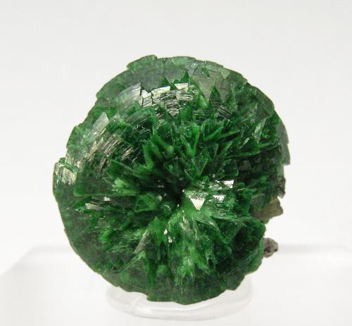 Adamite (variety cuprian adamite)<br />Mina Tsumeb, Tsumeb, Región Otjikoto, Namibia<br />Specimen size: 1.5 × 1.7 × 1.3 cm<br /> (Author: Jordi Fabre)