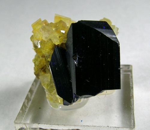 Azurite and Calcite<br />Tsumeb Mine, Tsumeb, Otjikoto Region, Namibia<br /><br /> (Author: bob kerr)