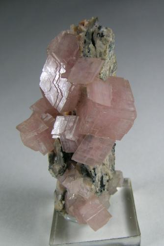 Smithsonite<br />Mina Tsumeb, Tsumeb, Región Otjikoto, Namibia<br /><br /> (Author: bob kerr)