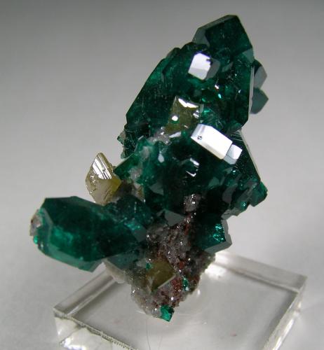 Dioptase and Wulfenite<br />Tsumeb Mine, Tsumeb, Otjikoto Region, Namibia<br /><br /> (Author: bob kerr)