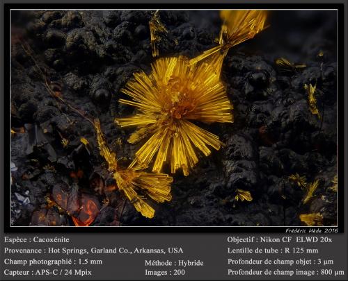 Cacoxenite<br />Hot Springs, Garland County, Arkansas, USA<br />fov 1.5 mm<br /> (Author: ploum)