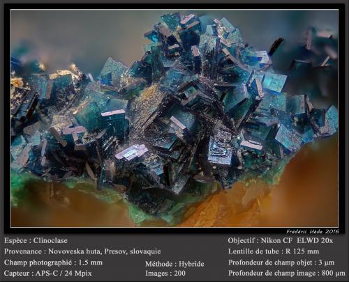 Clinoclase<br />Novoveská Huta, Spiská Nová Ves, Spiská Nová Ves District, Koice Region, Slovak Republic<br />fov 1.5 mm<br /> (Author: ploum)