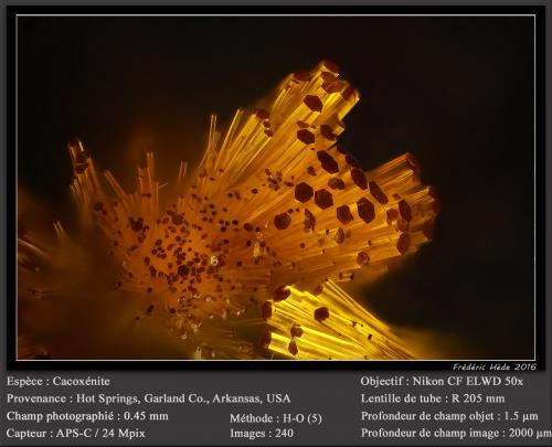 Cacoxenite<br />Hot Springs, Garland County, Arkansas, USA<br />fov 0.45 mm<br /> (Author: ploum)