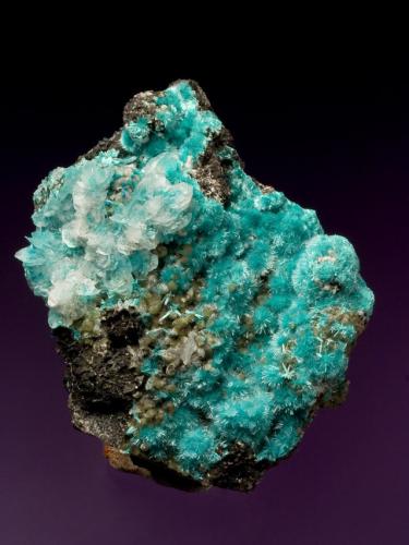 Aurichalcite, Calcite, Rosasite, Cuprian Austinite<br />Ojuela Mine, Mapimí, Municipio Mapimí, Durango, Mexico<br />8.5 cm<br /> (Author: Nunzio)