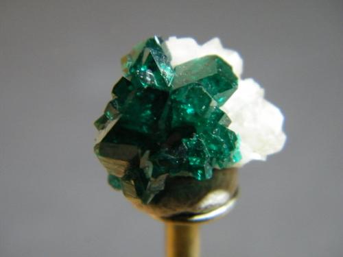 Dioptase<br />Tsumeb Mine, Tsumeb, Otjikoto Region, Namibia<br />11mm x 13mm<br /> (Author: Heimo Hellwig)