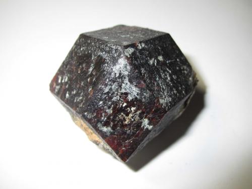 Almandino<br />Timmelsjoch (Passo del Rombo), Bolzano Province, Trentino-Alto Adige (Trentino-Südtirol), Italy<br />5''5 x 5''5 cm.<br /> (Autor: prcantos)