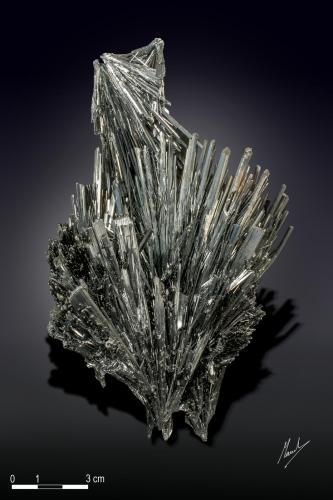 Stibnite<br />Herja Mine, Chiuzbaia, Baia Sprie, Maramures, Romania<br />150 x 108 mm<br /> (Author: Manuel Mesa)