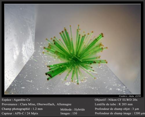 Agardite - Ce<br />Clara Mine, Rankach Valley, Oberwolfach, Wolfach, Black Forest, Baden-Württemberg, Germany<br />fov 1.2 mm<br /> (Author: ploum)