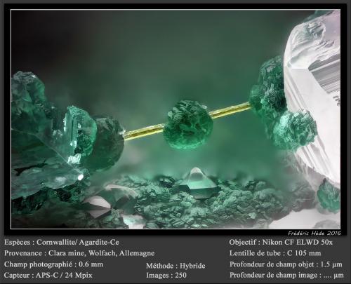 Cornwallite on Agardite - Ce<br />Clara Mine, Rankach Valley, Oberwolfach, Wolfach, Black Forest, Baden-Württemberg, Germany<br />fov 0.6 mm<br /> (Author: ploum)