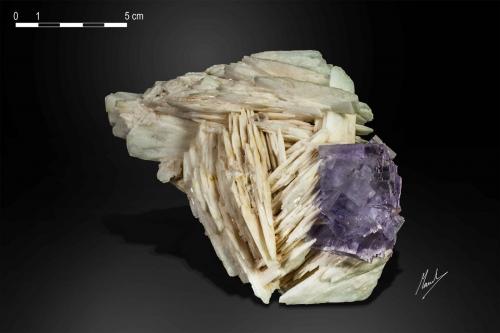 Fluorite on Baryte<br />La Cabaña, Berbes mining area, Valdelmar, Berbes, Ribadesella, Comarca Oriente, Principality of Asturias (Asturias), Spain<br />138 X 88 mm<br /> (Author: Manuel Mesa)