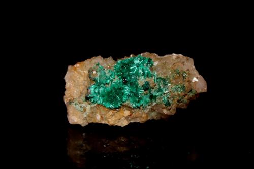 Brochantite, Quartz<br />Blanchard Mine (Portales-Blanchard Mine), Bingham, Hansonburg District, Socorro County, New Mexico, USA<br />55 mm x 26 mm x 23 mm<br /> (Author: Don Lum)