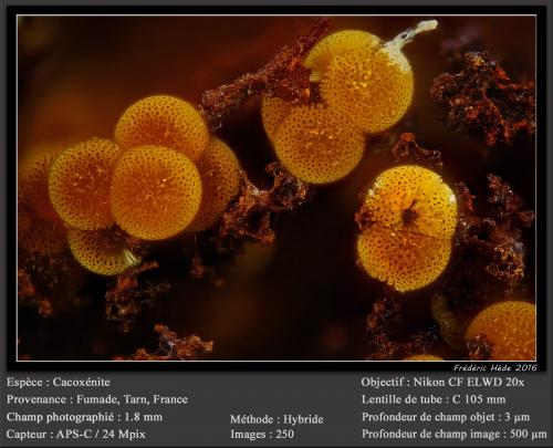 Cacoxenite<br />Fumade, Castelnau-de-Brassac, Tarn, Occitanie, France<br />fov 1.8 mm<br /> (Author: ploum)