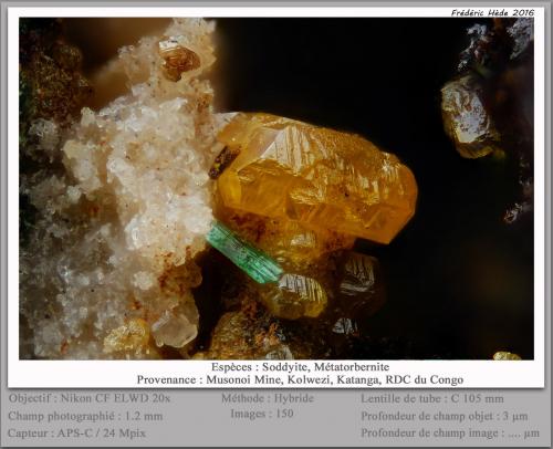 Soddyite and Metatorbernite<br />Mina Musonoi, Kolwezi, Distrito Kolwezi, Lualaba, Cinturón de cobre de Katanga, Katanga (Shaba), República Democrática del Congo (Zaire)<br />fov 1.2 mm<br /> (Author: ploum)