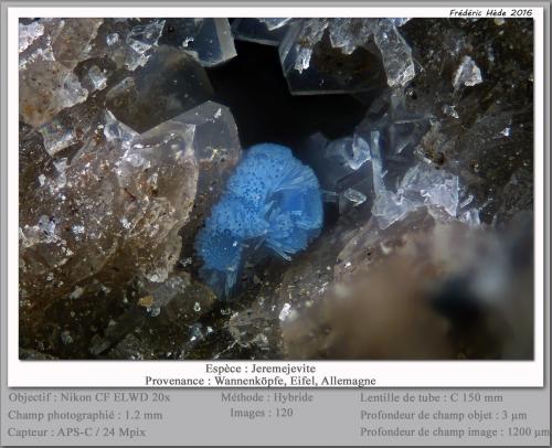 Jeremejevite<br />Wannenköpfe, Ochtendung (Polch), Maifeld, Mayen-Koblenz, Eifel, Rhineland-Palatinate/Rheinland-Pfalz, Germany<br />fov 1.2 mm<br /> (Author: ploum)