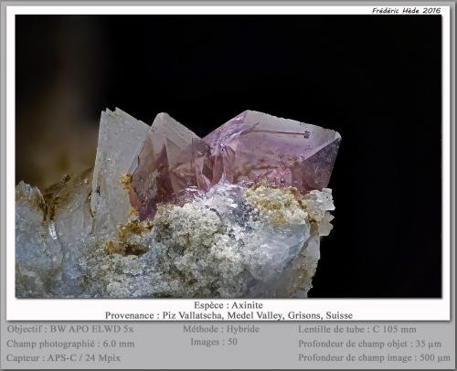 Axinite (Group)<br />Piz Vallatscha, Lukmanier Pass, Grischun (Grisons; Graubünden), Switzerland<br />fov 6.0 mm<br /> (Author: ploum)