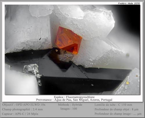 Fluornatropyrochlore<br />Volcán Água de Pau, Água de Pau, Municipio Lagoa, Isla San Miguel, Región Autónoma de las Azores, Portugal<br />fov 2.4 mm<br /> (Author: ploum)