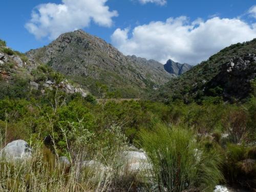 A small distance up the gorge; looking back, I can see the tar road in Michells Pass. (Author: Pierre Joubert)