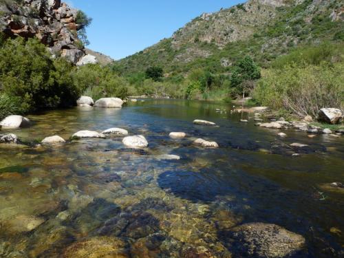 Where the Wit-els river joins the Breede river in Michells Pass. (Author: Pierre Joubert)