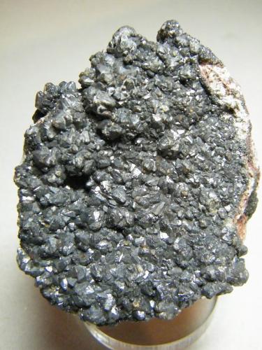 Descloizite<br />Berg Aukas, Grootfontein District, Otjozondjupa Region, Namibia<br />80mm x 65mm x 20mm<br /> (Author: Heimo Hellwig)