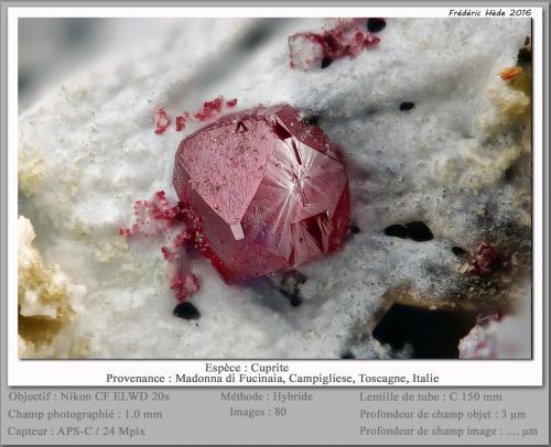 Cuprite<br />Madonna di Fucinaia (slag heaps), Campiglia Marittima, Campigliese, Livorno Province, Tuscany, Italy<br />1.0 mm<br /> (Author: ploum)