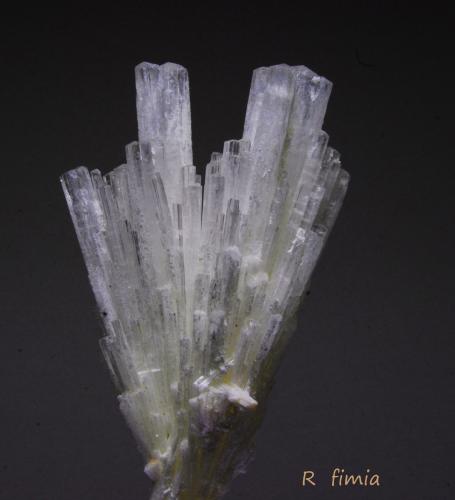 Escolecita<br />Cantera Gunjale, Distrito de Ahmadnagar, Maharashtra, India<br />10 cm altura<br /> (Autor: Ricardo Fimia)