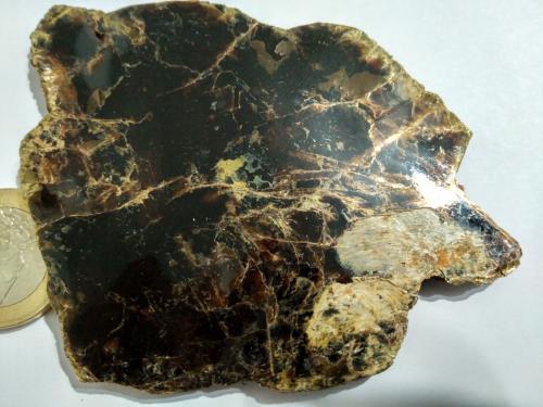 Biotita (Grupo Mica)<br />Toledo, Castilla-La Mancha, Spain<br />10x8 cm<br /> (Autor: JorgeP)